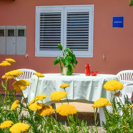 Nikolac Apartamento *